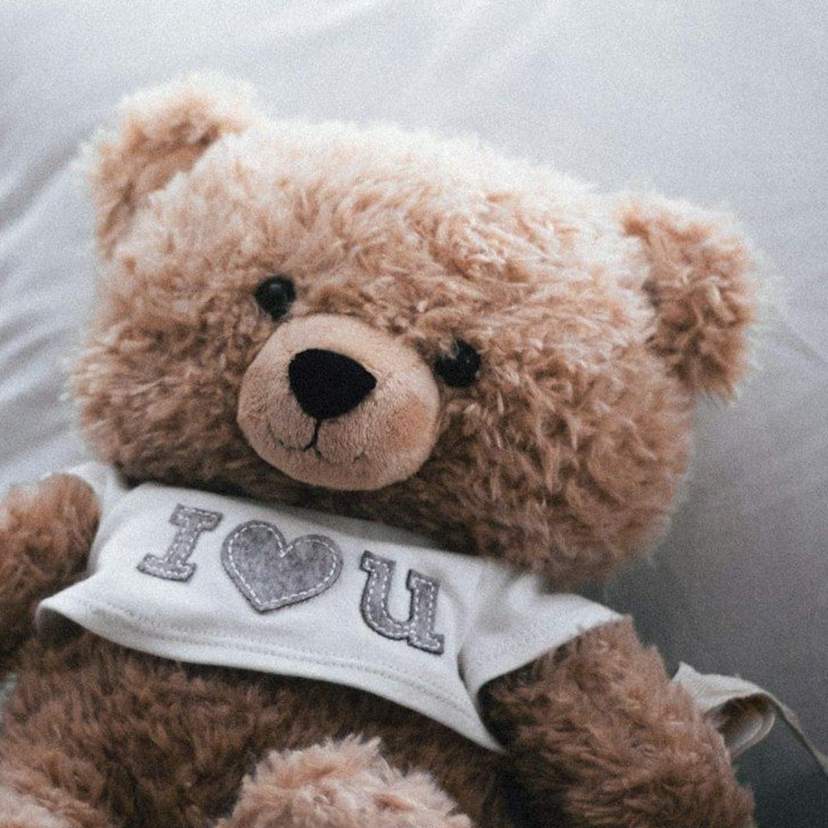 Rosto de um urso de pelúcia caramelo de camiseta branca