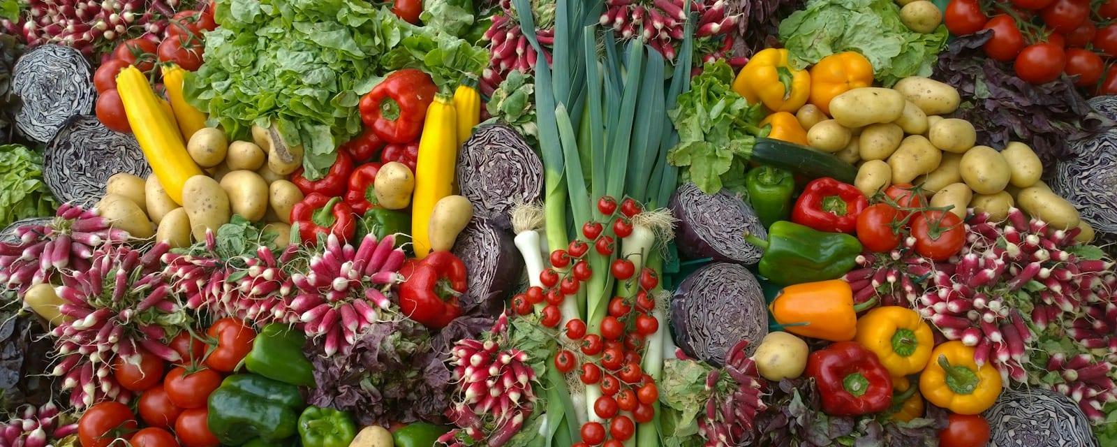 Legumes de feira lado a lado: rabanete, tomate, alho-poró, pimentão, batata e repolho roxo
